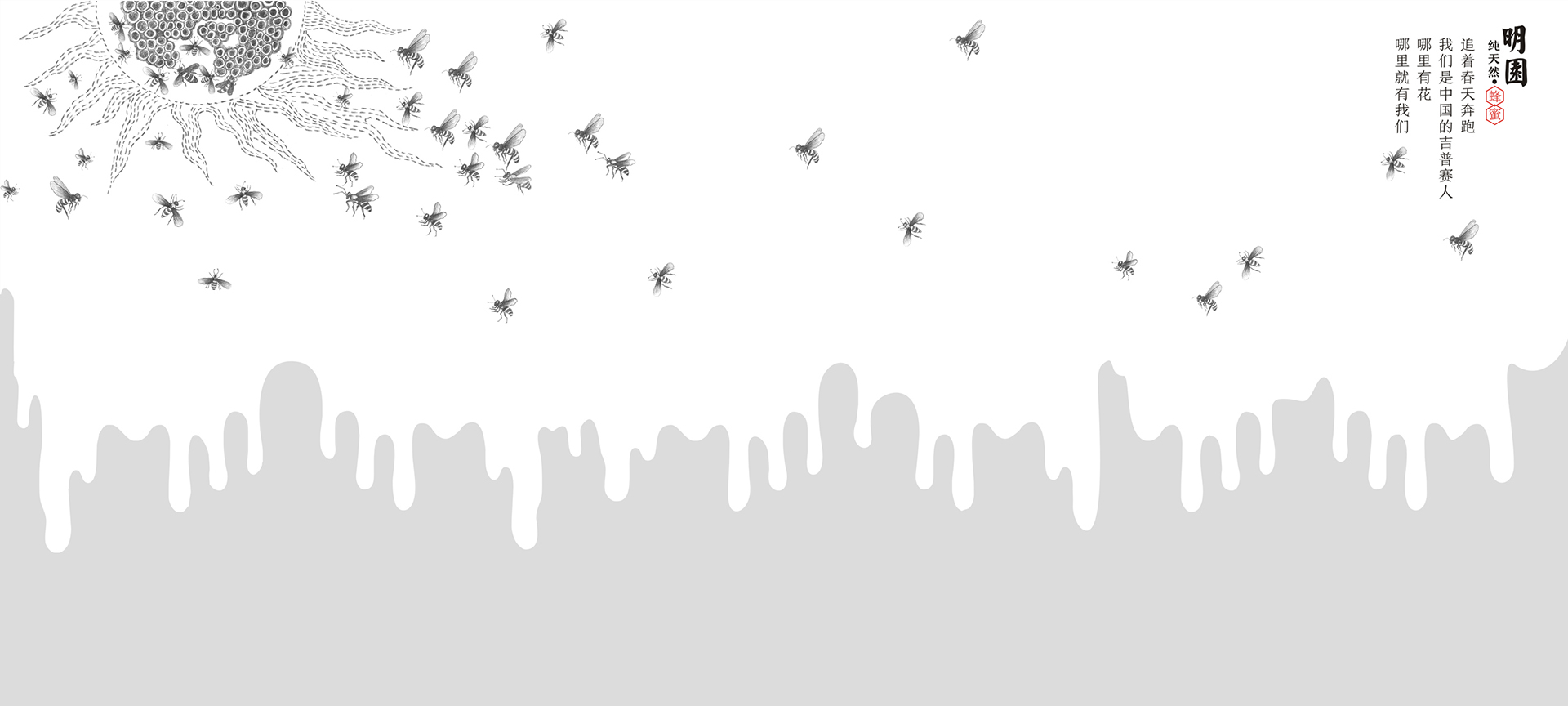 展示图
