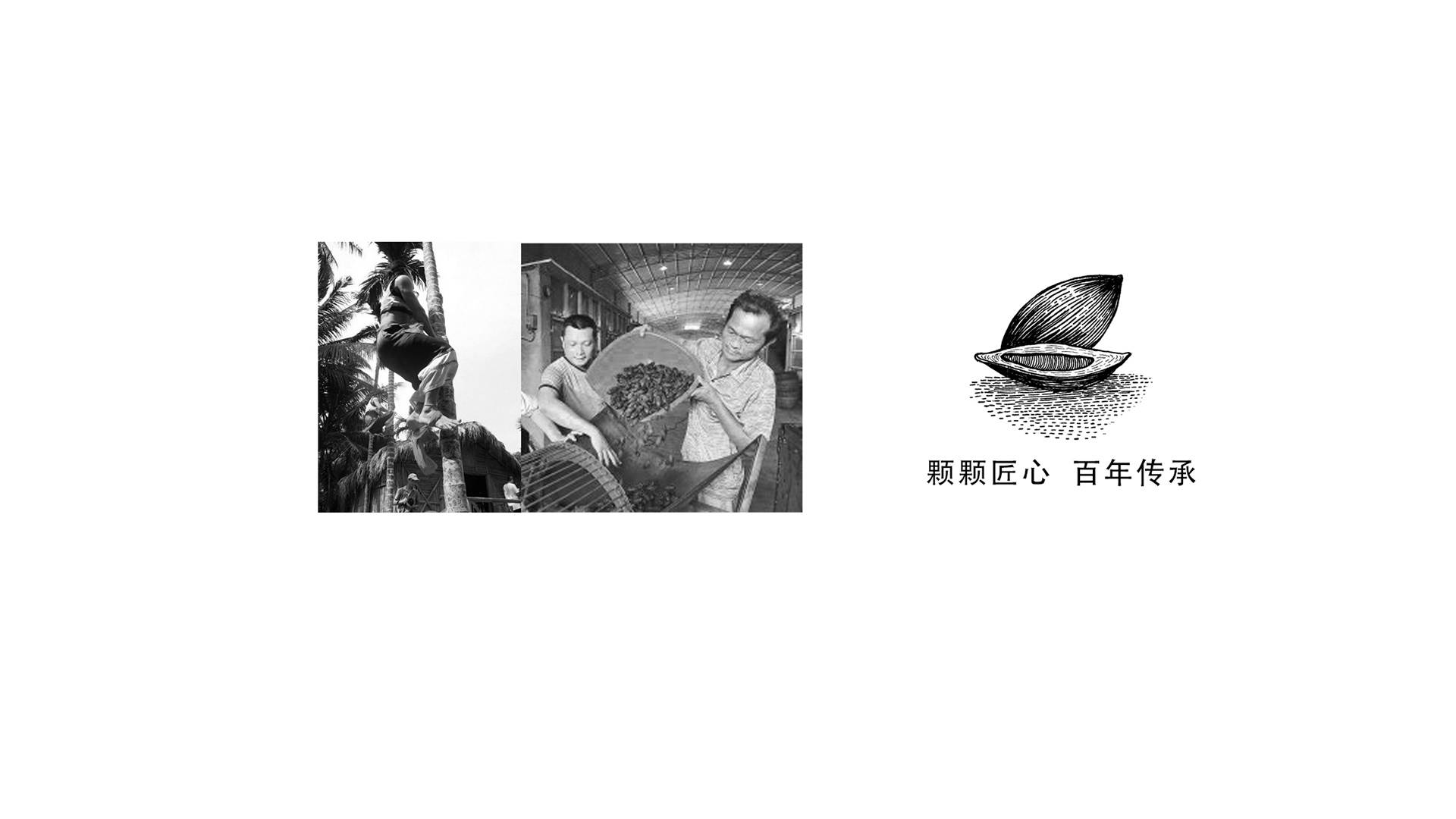 展示图